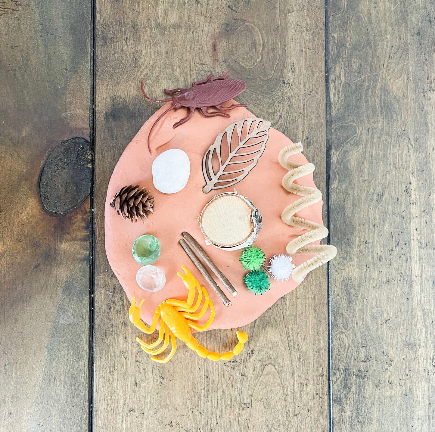 Bugz Doughie Jar